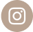Instagram Icon Link